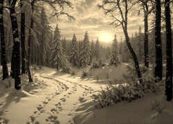 Sepia