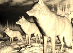 Sepia + Negatyw