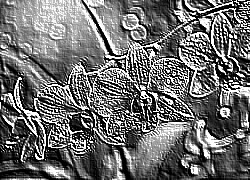 Skamielina