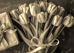 Szary + Sepia