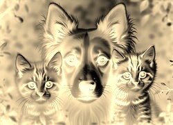 Sepia + Negatyw