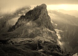 Szary + Sepia