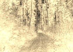 Sepia + Negatyw