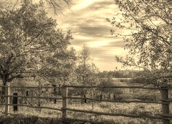 Szary + Sepia