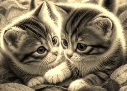 Szary + Sepia