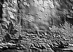 Skamielina