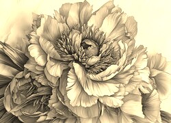 Szary + Sepia