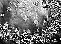 Skamielina