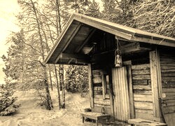 Szary + Sepia