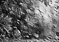 Skamielina