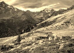 Sepia