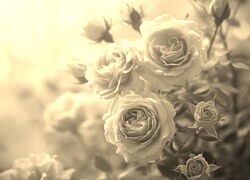 Sepia