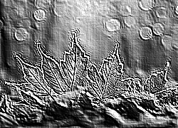 Skamielina