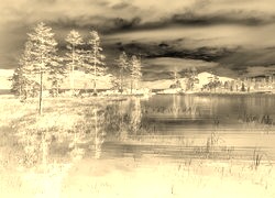 Sepia + Negatyw