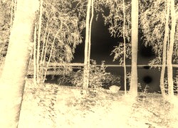 Sepia + Negatyw