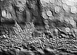Skamielina