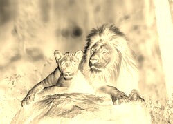 Sepia + Negatyw