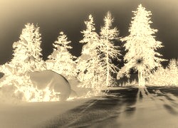 Sepia + Negatyw