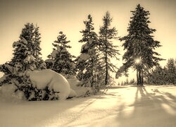 Sepia