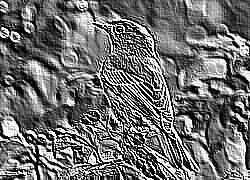 Skamielina