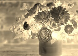 Sepia + Negatyw