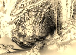 Sepia + Negatyw