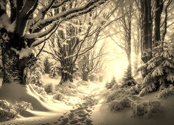Szary + Sepia