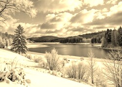 Sepia