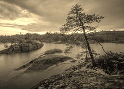 Szary + Sepia