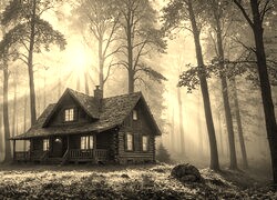 Sepia
