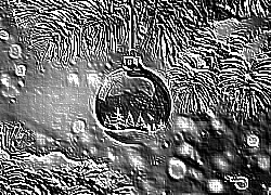 Skamielina