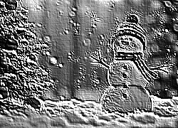 Skamielina