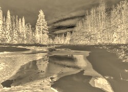 Sepia + Negatyw