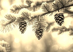 Sepia