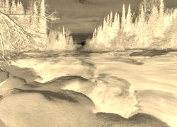 Sepia + Negatyw