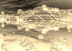 Sepia + Negatyw