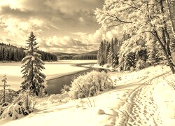 Sepia
