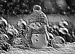 Skamielina