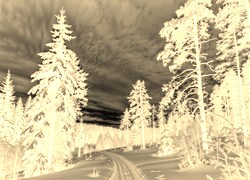Sepia + Negatyw
