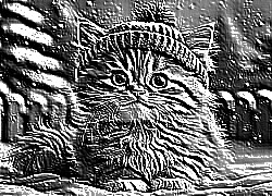 Skamielina