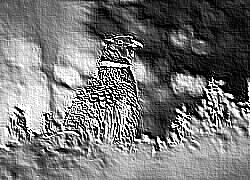 Skamielina