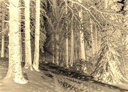 Sepia + Negatyw