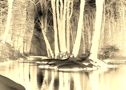 Sepia + Negatyw