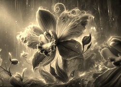Szary + Sepia