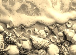 Szary + Sepia