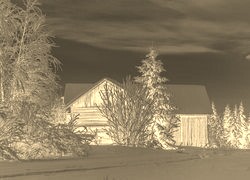 Sepia + Negatyw