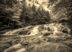 Szary + Sepia