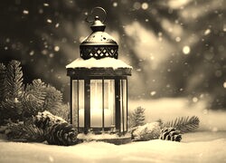 Szary + Sepia