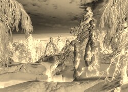 Sepia + Negatyw