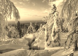 Szary + Sepia